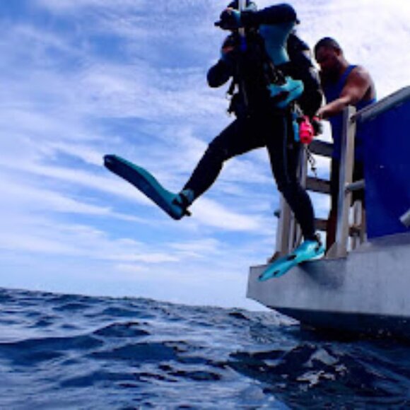 Meet your Posher, Sharon - Picture 13 of 15